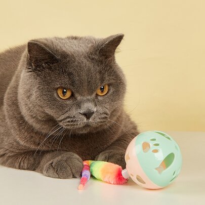1 件铃铛设计猫爱好者和猫妈妈爱逗猫玩具