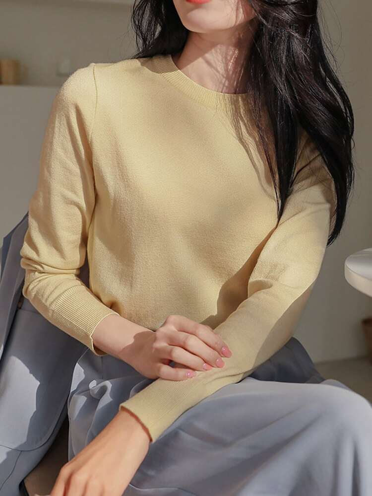 Solid Round Neck Sweater,Fall Women Clothes