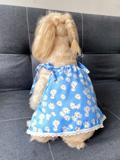 Daisy Print Pet Dress