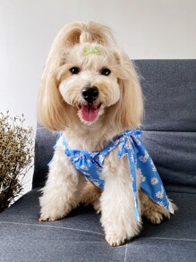 Daisy Print Pet Dress - Multicolor - View 3