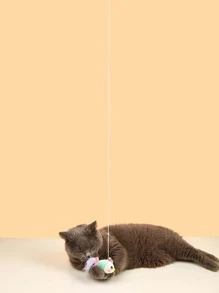 1 Pièce Jouet Pour Chat Avec Plumes De Dinde Et Corde Élastique Pour Jeu Interactif Sur La Porte