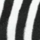 Schwarz und Weiss