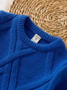 SHEIN Toddler Boys Solid Textured Knit Jumper - Blue - View 7