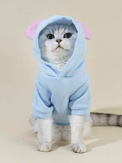 هودي حيوانات أليفة أذن دب تصميم