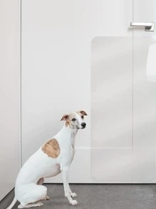 Transparent Vinyl Stickers For Dog And Cat Scratching Prevention On Furniture And Doors, S:5pcs, M:5pcs, L:1roll, Xl:1roll - Clear - View 2