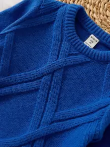 SHEIN Toddler Boys Solid Textured Knit Jumper - Blue - View 5