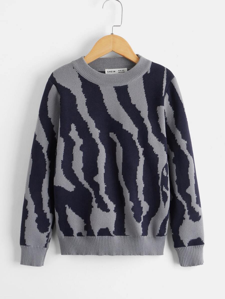 Boys Zebra Stripe Round Neck Jumper - Multicolor - View 1