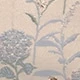 彩色