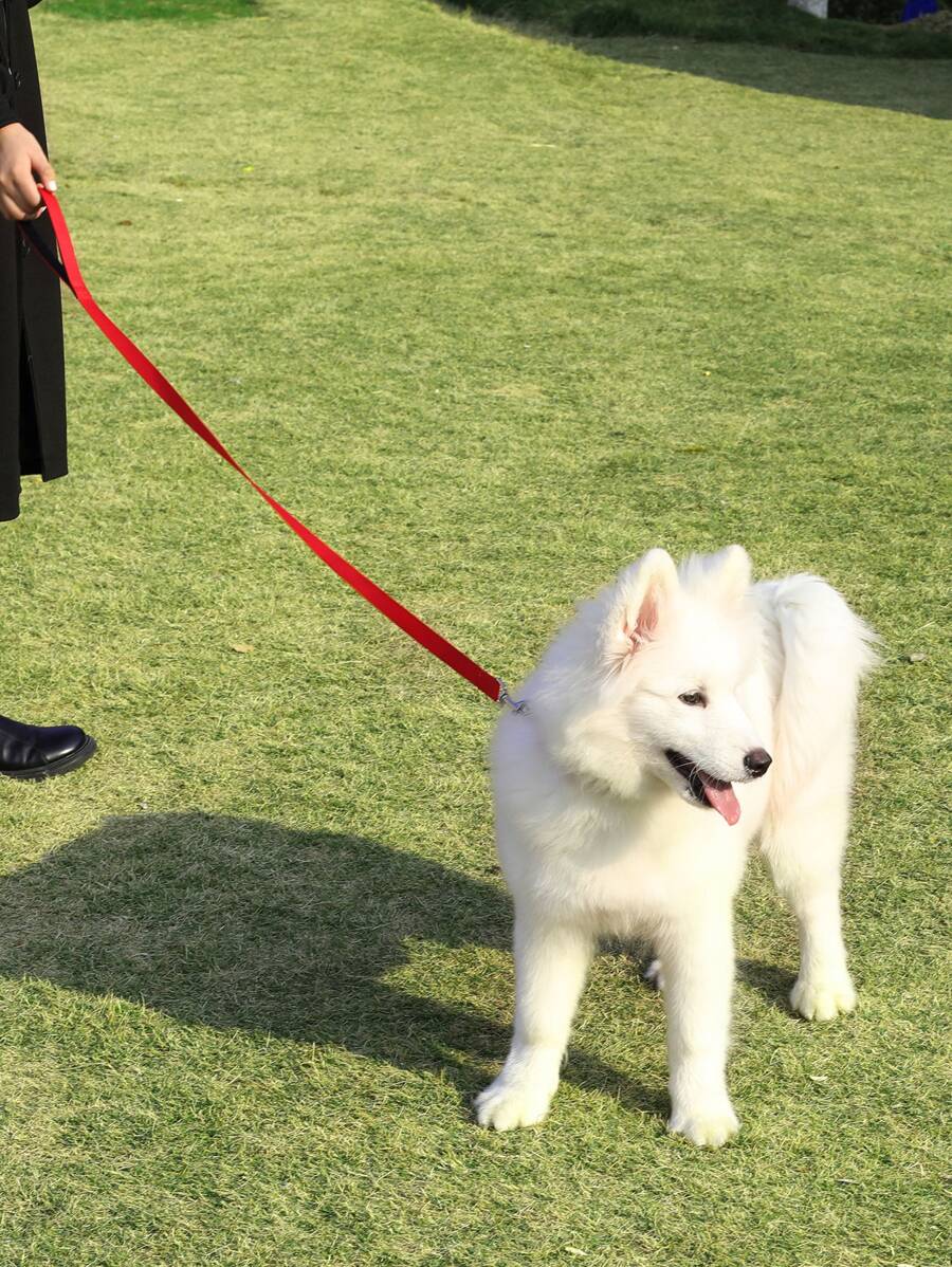 Dây xích vật nuôi - Đỏ - Xem 1