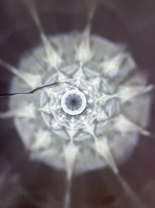 1入組迷你簡約風檯燈 - 彩色 - 查看 5