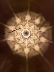 1入組迷你簡約風檯燈 - 彩色 - 查看 8