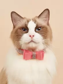 Rhinestone Decor Pet Collar - Pink - View 2