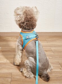 2入組撞色寵物牽引繩和束帶套裝 - 彩色 - 查看 2