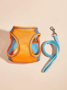 2入組撞色寵物牽引繩和束帶套裝 - 彩色 - 查看 3