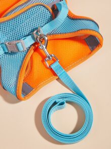 2入組撞色寵物牽引繩和束帶套裝 - 彩色 - 查看 5