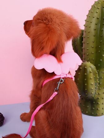 Supet Animaux De Compagnie Ailé Poitrine & Dos Col Set Avec Laisse
