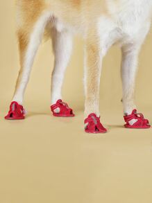 4入組透氣寵物鞋子適用於貓和狗狗適用於戶外