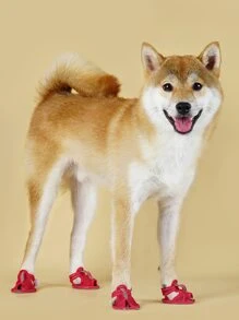 4入組透氣寵物鞋子適用於貓和狗狗適用於戶外