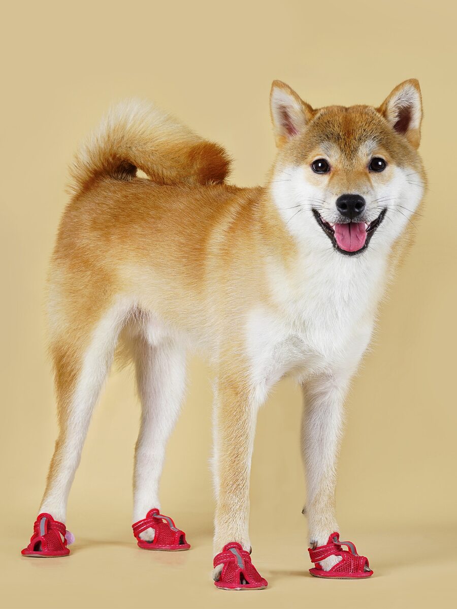 4入組透氣寵物鞋子適用於貓和狗狗適用於戶外