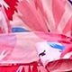 彩色