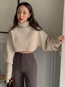 DAZY 烏龜高領倫敦袖短版毛衣 - 卡其色 - 查看 8