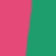 Rosa Fucsia