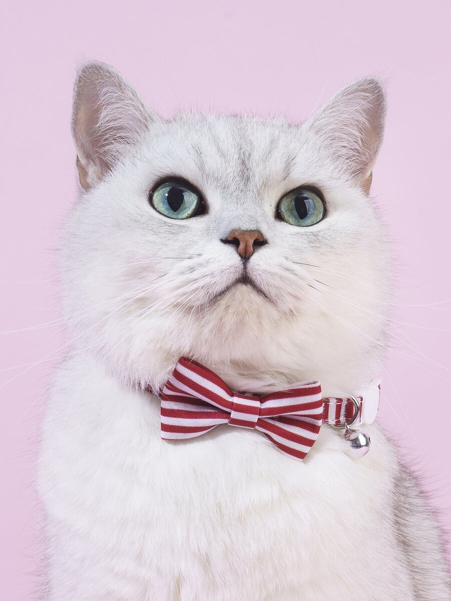 1入組蝴蝶結裝飾寵物項圈 - 紅白色 - 查看 1