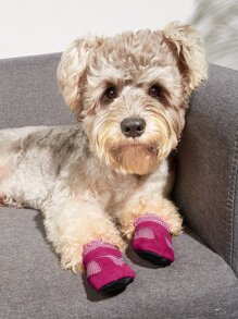 Summer Breathable Mesh Pet Shoes Soft Comfortable Indoor Shoes For Teddy & Bichon - Hot Pink - View 3