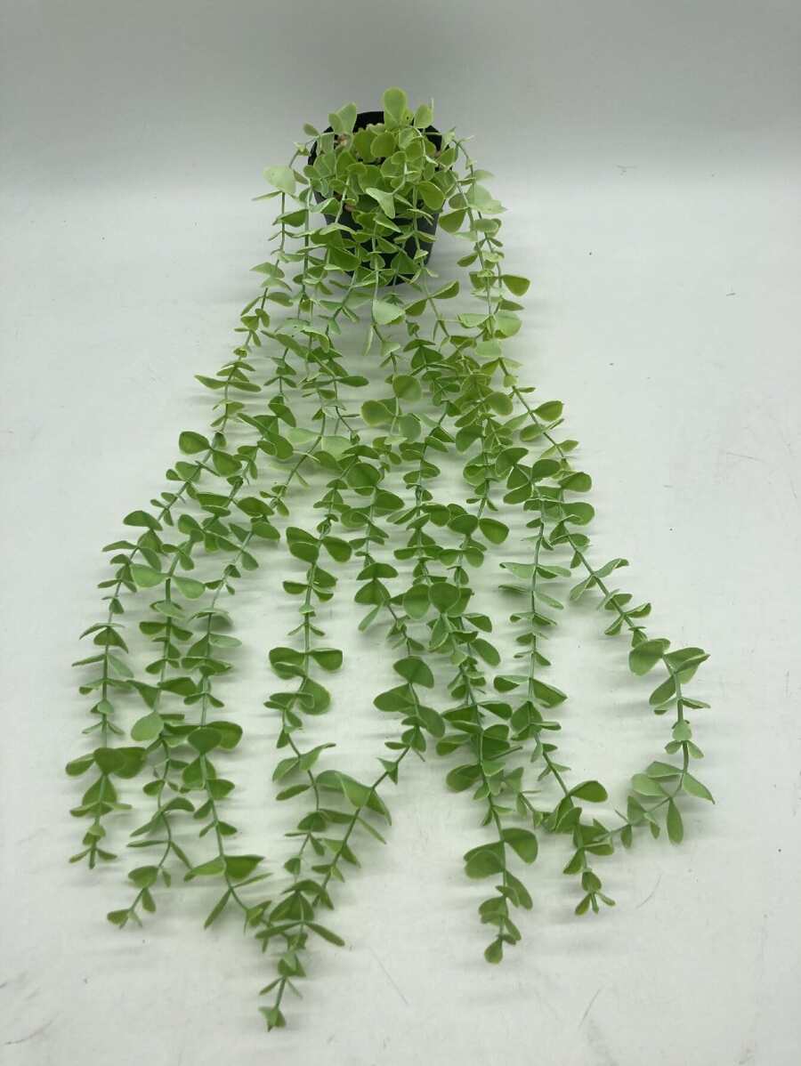 1入組人造盆栽植物 - 綠色 - 查看 1