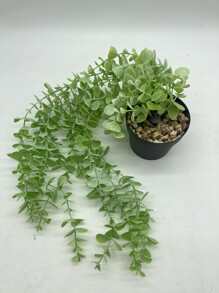 1入組人造盆栽植物 - 綠色 - 查看 2