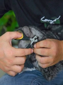 1入貓爪剪小型盲人剪，具有圓孔寵物不銹鋼寵物指甲剪，多種顏色可選