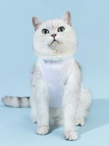 PETSIN Letter Graphic Pet Tank