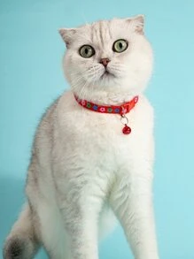 5入組混合圖案寵物項圈 - 彩色 - 查看 2