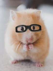 1pc Hamster Glasses - Black - View 1