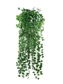 Nejlue Artificial Flowers/Plants1111 Home & Living 12件/套，83英尺/25.2米人造常绿常春藤花环，仿真悬挂藤蔓植物背景，适用于家居装饰、教室、办公室、秋季装饰、房间、书桌、花园、婚车、拱门、房屋、餐厅、卧室、门廊、生日派对、阳台、秋千、商场、壁炉、门、情人节和新年冬季装饰 - 墨綠色 - 查看 2