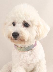 水鑽裝飾寵物項圈 - 彩色 - 查看 2