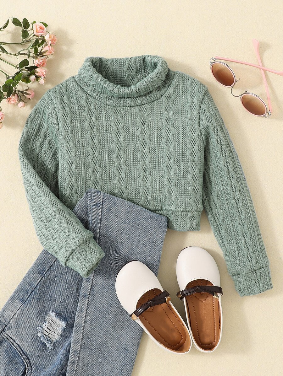Toddler Girls Turtle Neck Pullover - Green - View 1