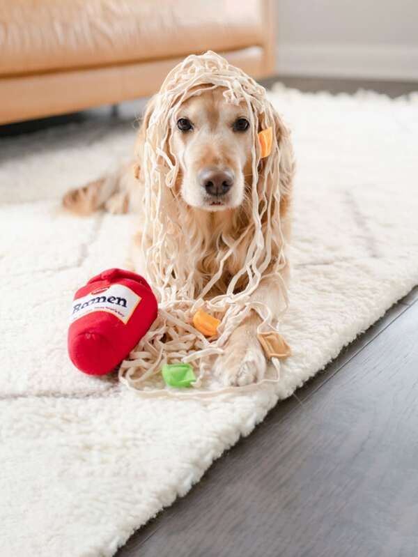 1pc Noodles Design Pet Plush Toy SHEIN USA