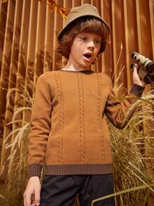 SHEIN Boys Cable Knit Contrast Trim Raglan Sleeve Jumper - Brown - View 3