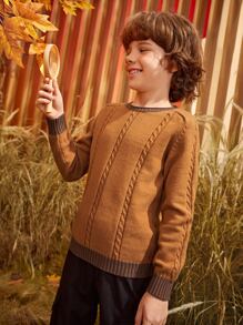 SHEIN Boys Cable Knit Contrast Trim Raglan Sleeve Jumper - Brown - View 8