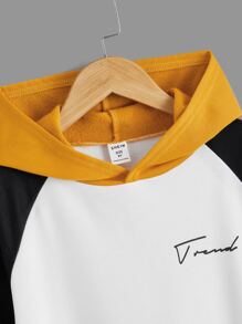 SHEIN Boys Letter Graphic Colourblock Kangaroo Pocket Raglan Sleeve Hoodie - White - View 3