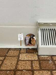 逼真的老鼠洞墙贴，适合日常休闲使用的家居装饰配件，贴纸，墙贴花，用于家居装饰的乙烯基贴花，春季装饰品让您的家焕然一新，拉玛装饰贴纸