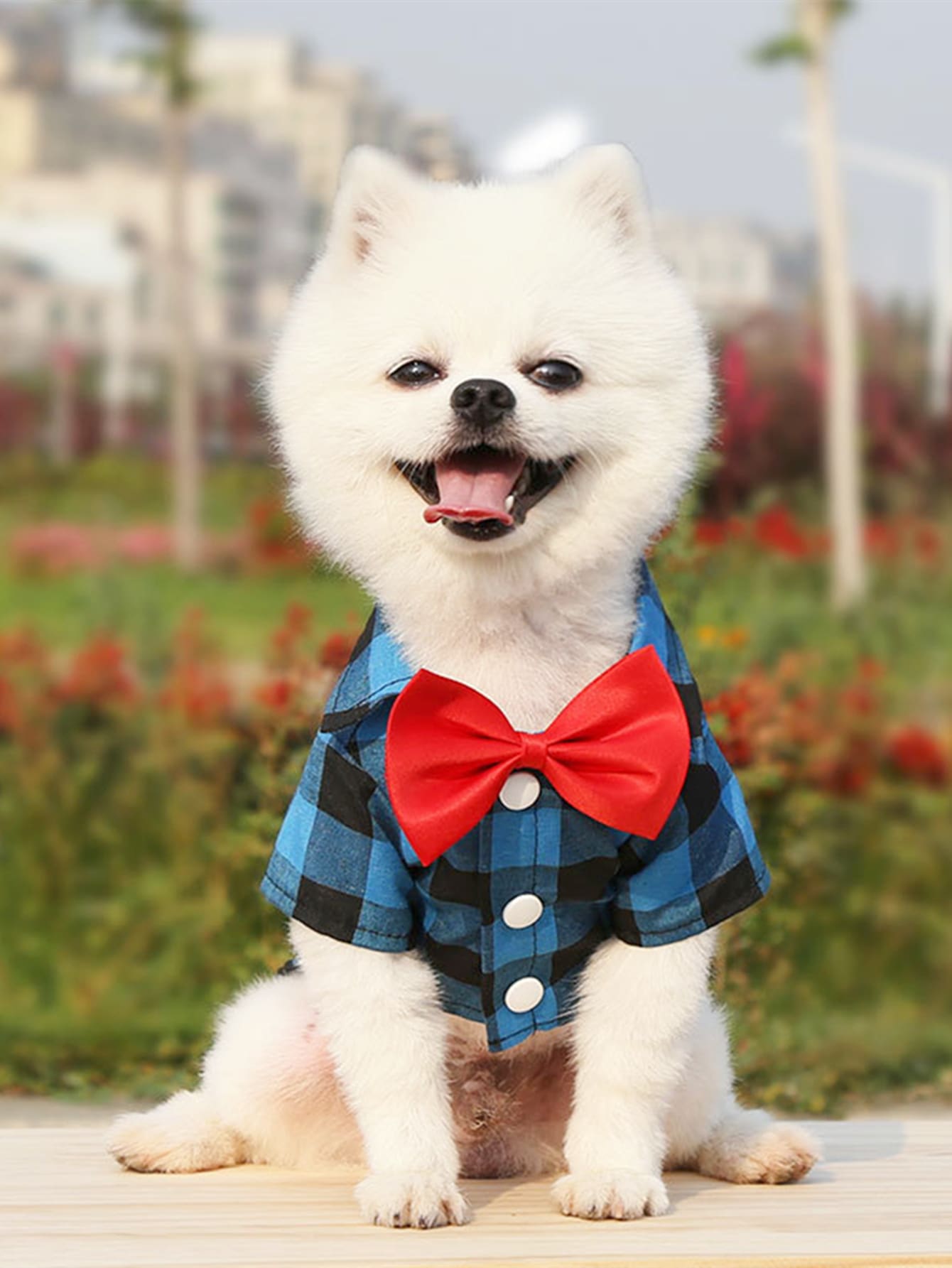 1pc Plaid Print Pet Shirt - Blue - View 1