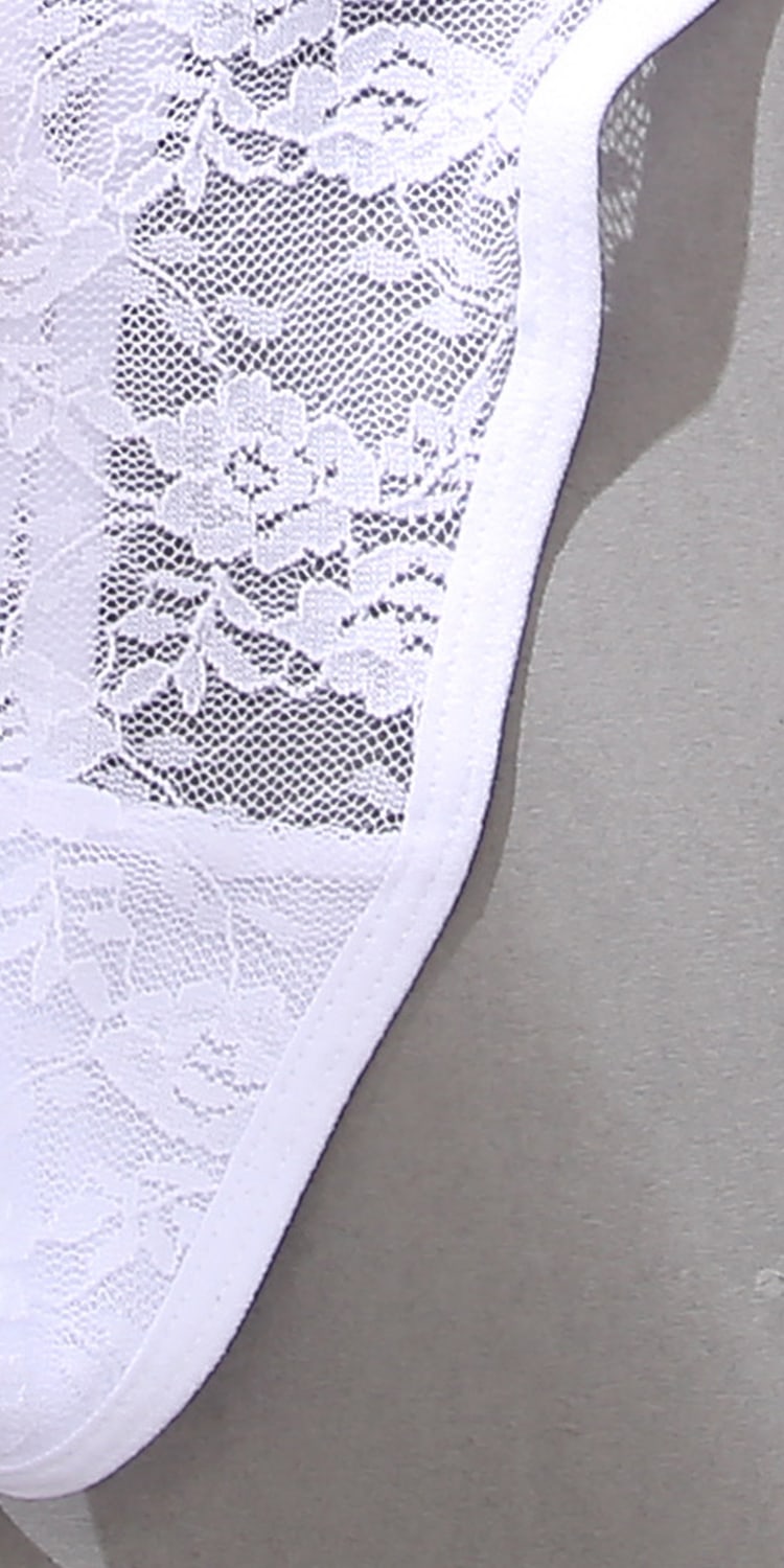 Sheer Lace Panty SHEIN USA