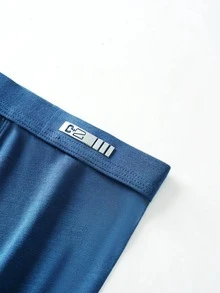 Men Letter Detail Boxer Brief - Blue - View 3