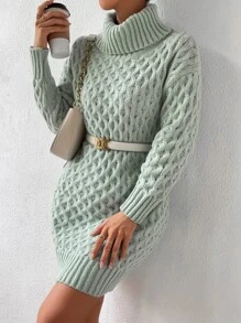 SHEIN Privé Turtleneck Drop Shoulder Jumper Dress Without Belt - Mint Green - View 5