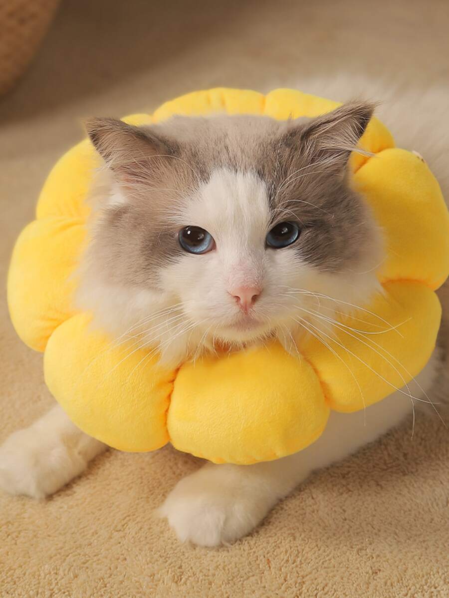 1入組素色寵物伊莉莎白圈 - 黃色 - 查看 1