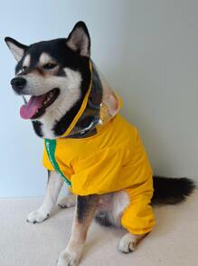 Dinosaur Design Pet Raincoat - Yellow - View 4