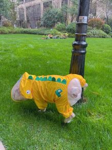 Dinosaur Design Pet Raincoat - Yellow - View 5
