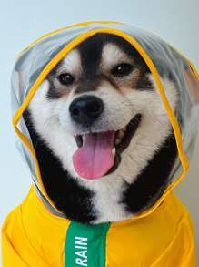 Dinosaur Design Pet Raincoat - Yellow - View 6